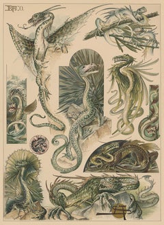 Das Thier by Anton Seder, Art Nouveau illustrations of dragons