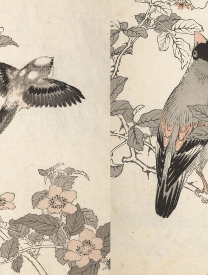 Japanse houtblokprenten hebben een enorme invloed gehad op Nederlandse plateelschilders, die de vogels en bloemen van de prenten overnamen op de decors van vazen, tegels en wandborden.