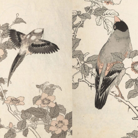 Japanse houtblokprenten hebben een enorme invloed gehad op Nederlandse plateelschilders, die de vogels en bloemen van de prenten overnamen op de decors van vazen, tegels en wandborden.